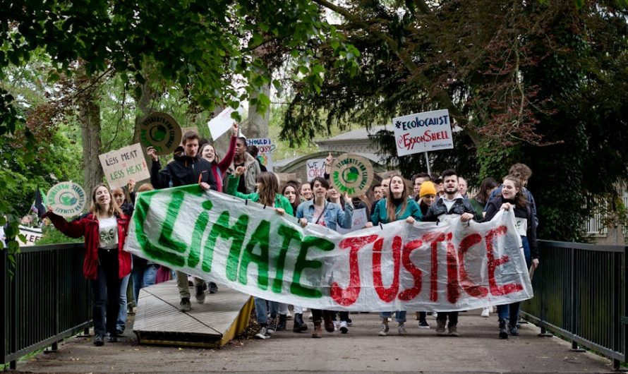 Купить подлинный диплом с занесением в реестр